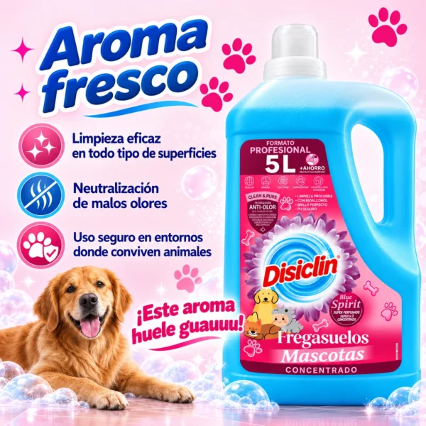 Disiclin_02.webp