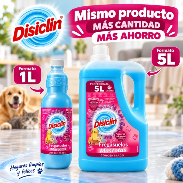 Disiclin_03.webp